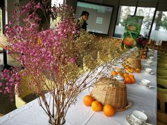 -前小桔亲子创意农场·草莓采摘·露营烧烤