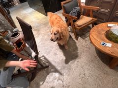 -自由生长植物工作室(深港花卉中心店)