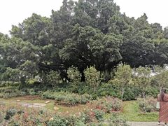 -人民公园(罗湖区)