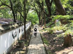 -上海佘山国家森林公园天马山园