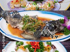 -亚马逊丛林水乐园