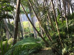 -荔香公园