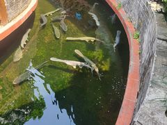 -侠成水上农庄(工业大道店)