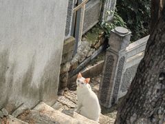 -云龙山