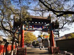 -北京国子监胡同
