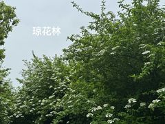 -漕湖湿地公园