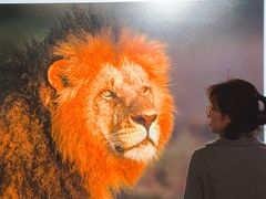 -罗红摄影艺术馆