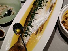 鸡汁清蒸大白鱼-米桃·苏园·苏锡菜(仁恒仓街店)