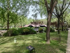 -唐城墙遗址公园