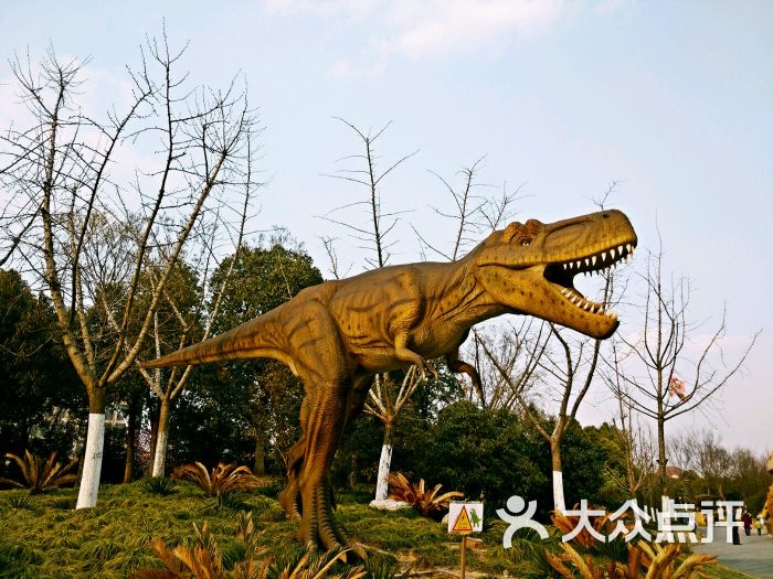 上海顾村恐龙园图片 - 第1763张