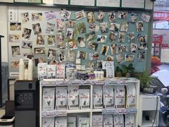 -爱妮康宠物医院·干细胞免疫细胞·肿瘤·心脏(张江店)