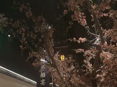 -绿茶餐厅(朝阳大悦城店)