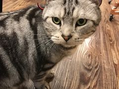 -MIKAKU(万达广场上海宝山店)