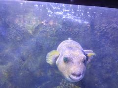 -太平洋海底世界