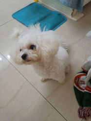 -肌理言健康美肌驻颜所