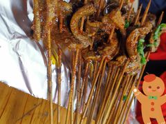 鳝鱼-晓靖轩烧烤(沙河风情店)