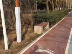 -绿堤公园