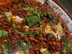 杨记招牌鱼-杨记隆府(南坪店)