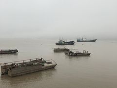 -北岐滩涂