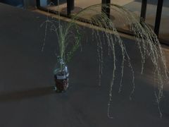 -来回·咖啡(钟村咖啡豆店)