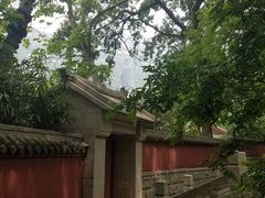 -青岛崂山太清宫