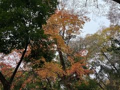 -宝通禅寺