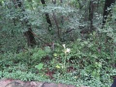 -镇江市南山风景名胜区竹林景区