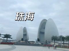 -野狸岛