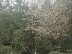 -重庆园博园