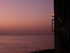 -宝安西湾红树林湿地公园