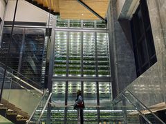 -重庆解放碑威斯汀酒店