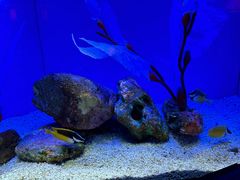 -上海海洋水族馆