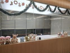 -宝生月子中心·独栋独院式(南山店)