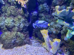 -郑州海洋馆
