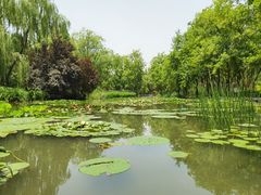 -洛阳市隋唐城遗址植物园