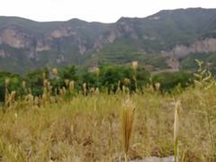 -青龙山生态文化旅游区(慈云寺)