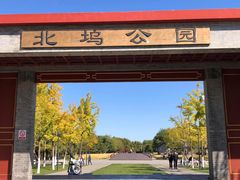 -北坞公园