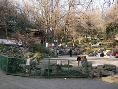 -伯先公园