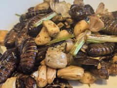 -正德楼果木烤鸭·渔家菜(东港店)