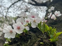 -阳澄湖费尔蒙酒店颐丰阁中餐厅(马鞍山西路店)