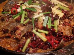 -老板恋上鱼(高新万达店)