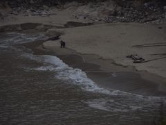 -北岐滩涂