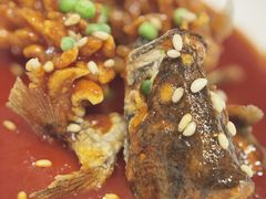-眉州东坡(北苑华贸店)