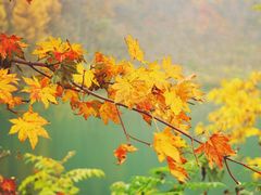 -丹东天桥沟景区
