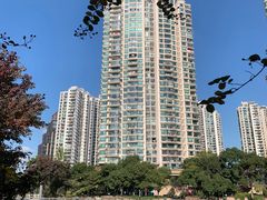 -苏州河梦清园环保主题公园