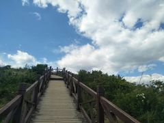 -阳台山自然风景区