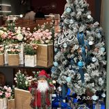 惠灵顿牛排5折，我又可以肆意浪漫了