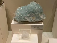 -天津自然博物馆