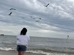 -老虎石海上公园