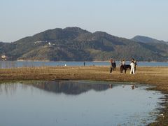 -四明湖